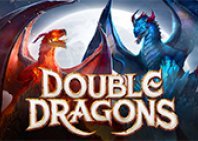 Double Dragons (Двойные драконы)