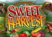 Sweet Harvest (Сладкий урожай)