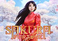 Sakura Fortune (Сакура Фортуна)