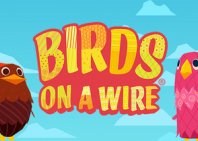 Birds On A Wire (Птицы на проводе)