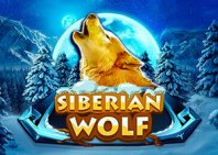Siberian Wolf (Военный волк)