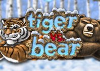 Tiger vs Bear (Тигр против медведя)
