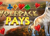 Wolfpack Pays (Вольфпак платит)