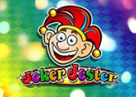 Joker Jester (Джокер Шут)