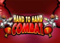 Hand to Hand Combat (Рукопашный бой)