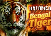 Untamed Bengal Tiger (Неодобренный бенгальский тигр)