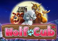 Wolf Cub (Волк-куб)