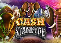 Cash Stampede (Наличный штамп)